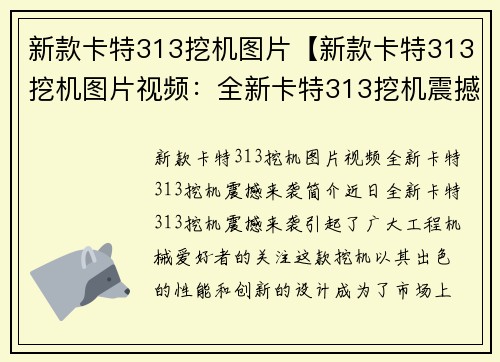 新款卡特313挖机图片【新款卡特313挖机图片视频：全新卡特313挖机震撼来袭】
