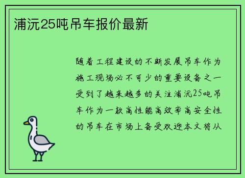 浦沅25吨吊车报价最新